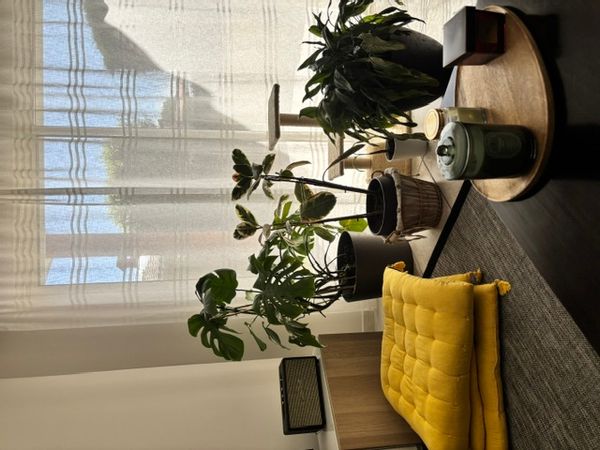 Maison au calme
