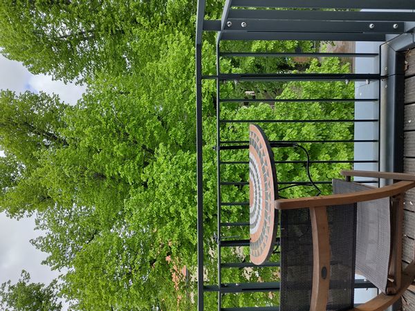 Duplex familial avec 2 balcons et une grande terrasse