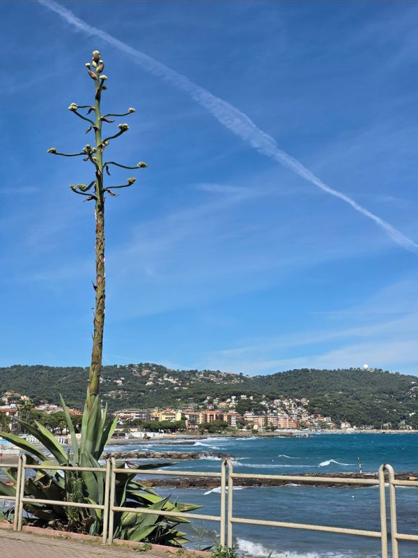 La maison de Dario