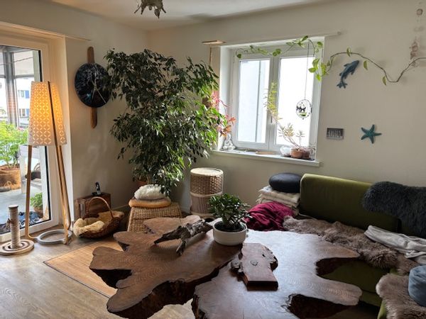 La maison de illianna