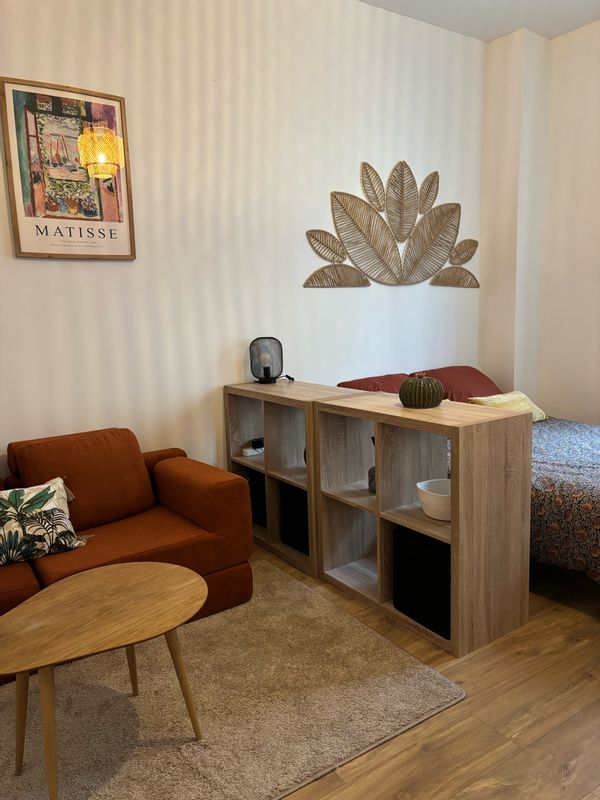 Appartement lumineux hyper centre laval