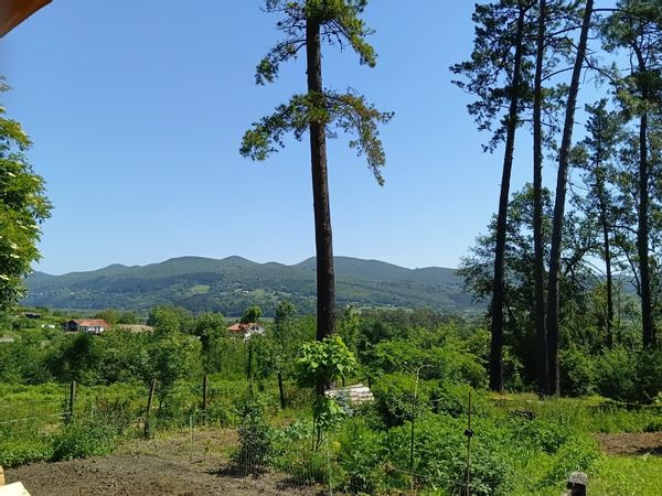 La maison de Marcela