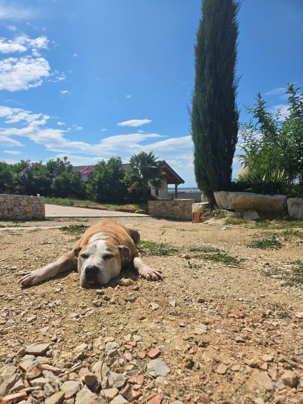 La maison de Yvonne