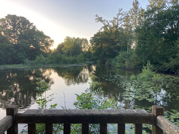 Maison sur une petite île entourée par la Vilaine