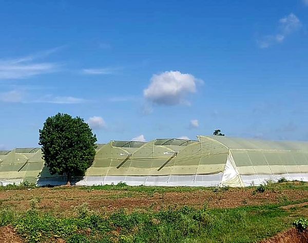 La maison de Ajay