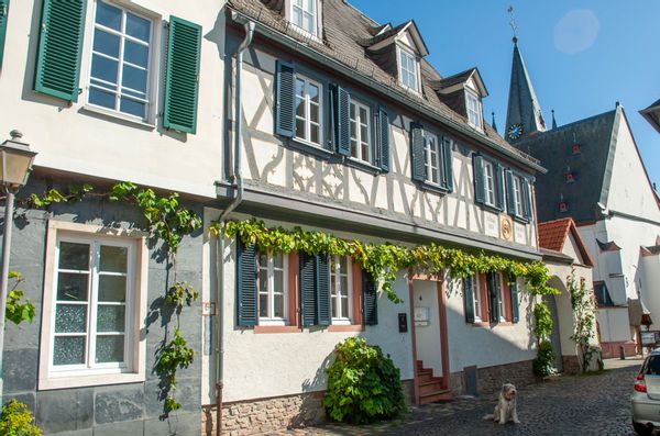 La maison de Wolfgang Marcus
