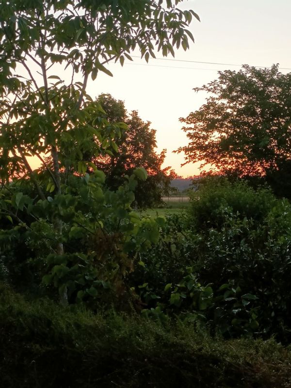 La campagne