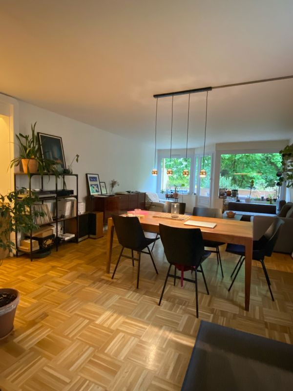 Grand appartement 2 chambres au calme et au vert proche centre Lyon
