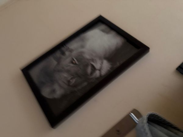 La chambre privée de Amandine