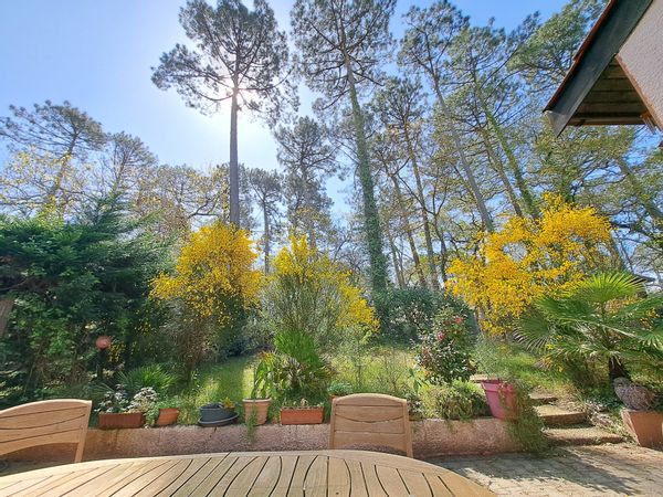 Maison + dépendance sous les Pins du Bassin d'Arcachon - jusqu'à 11 couchages