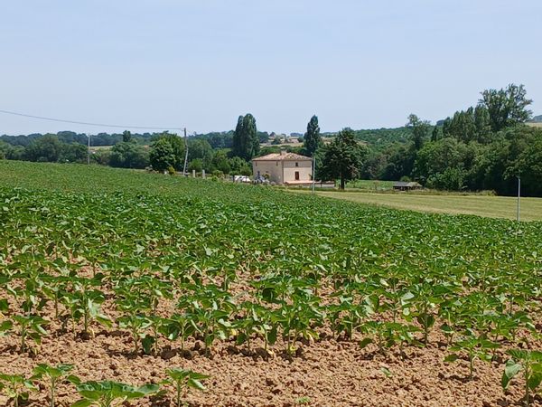 Grand gîte familial avec piscine et cabane atypique