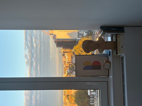 Brooklyn family apartment with skyline views