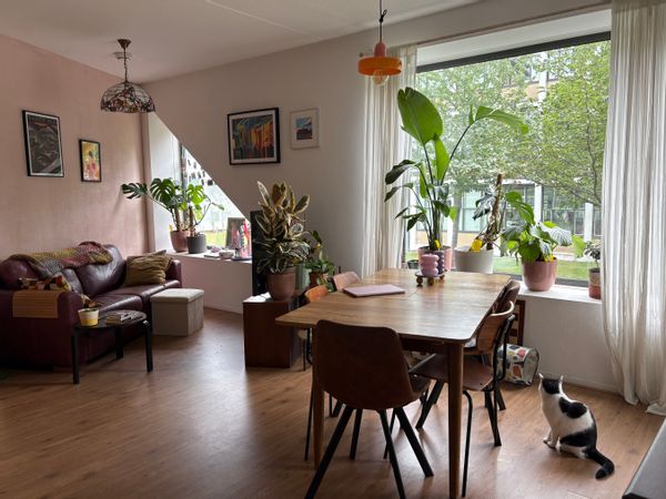 La maison de Aukje