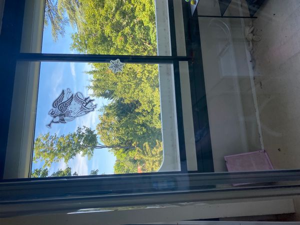 La maison d’Hélène  au calme tout un côté de l’appartement avec vue sur verdure et le mont cindre