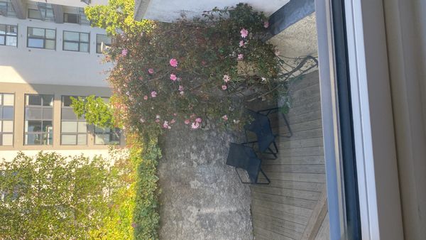 La maison de Suzanna