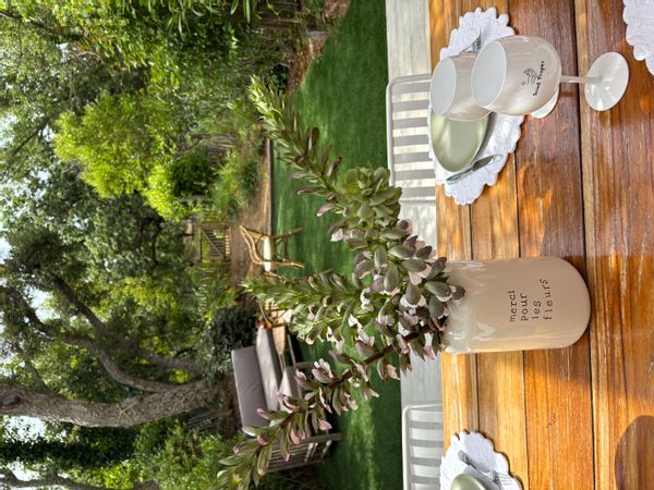Maison 6 pers, 3 ch , golfe de St Tropez
