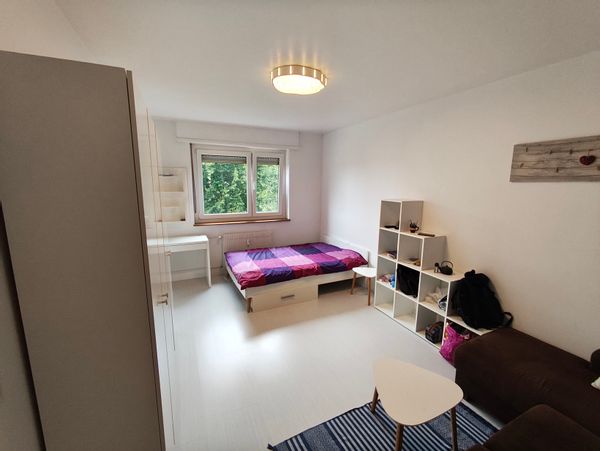 Appartement à la frontière suisse à côté du tram