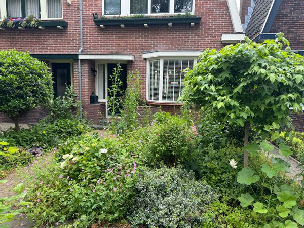 Couleur et calme proche Amsterdam
