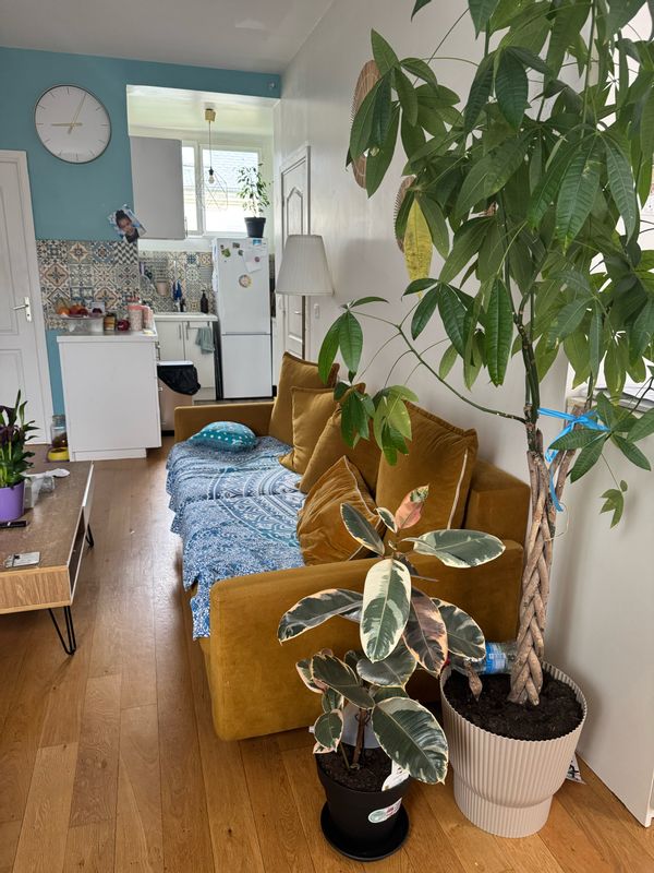 Ma jolie maison