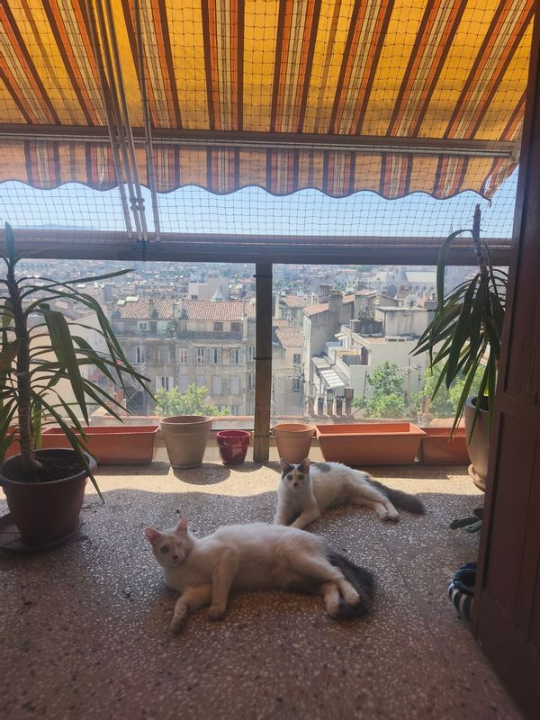 Jolie vue à Marseille