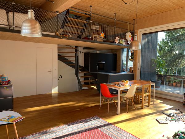 Large flat with rooftop terrace 2 min from Rhine
