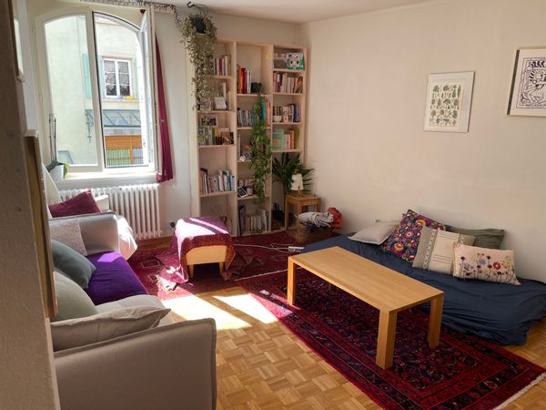 Appartement en vieille ville, en plein cœur des Alpes Suisses