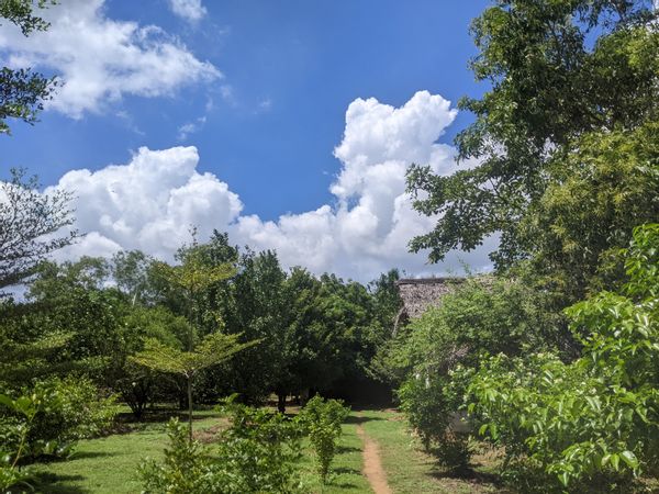La maison de Sahitya and Harsh