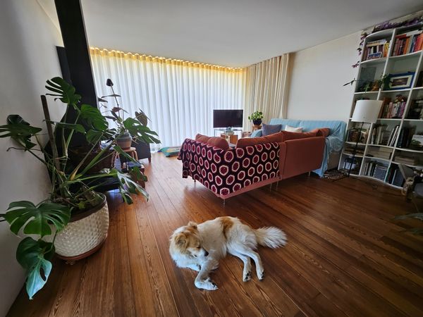 La maison de Oan