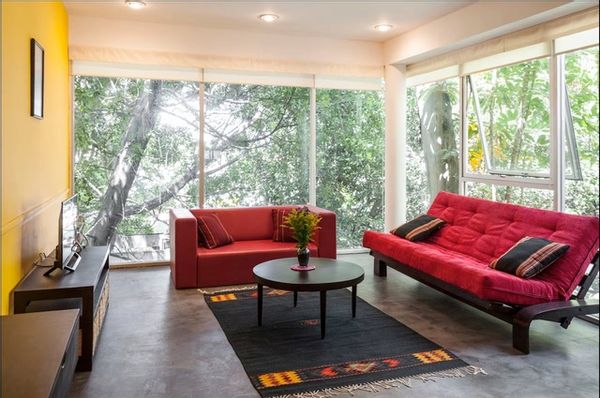Cosy, quiet and sunny flat surrounded by trees in the heart of Mexico's coolest district.