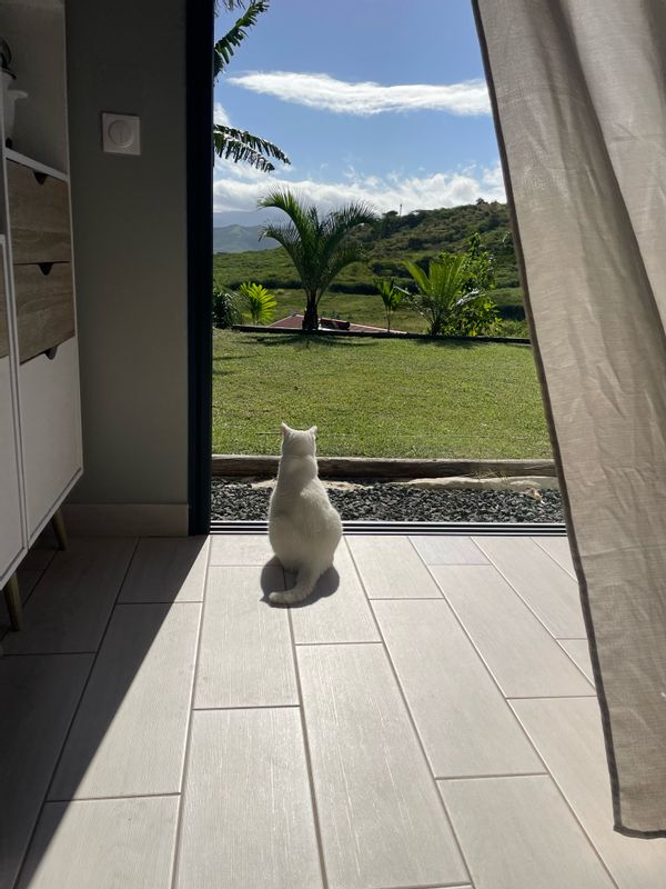 Une chambre privée dans une sympathique petite maison F3 sur Koné