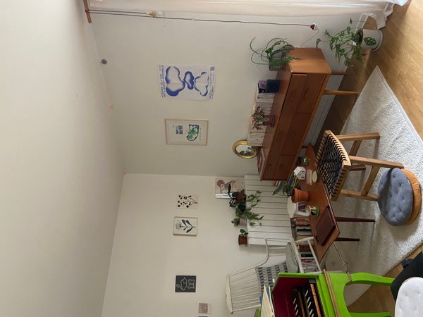 Cabane urbaine cozy