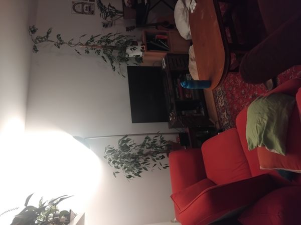 La chambre privée de Enric