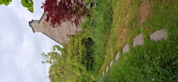 Maison entourée de nature à la campagne du Morbihan