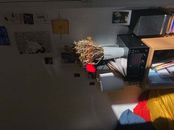 Petit studio cosy à 2 pas du centre ville