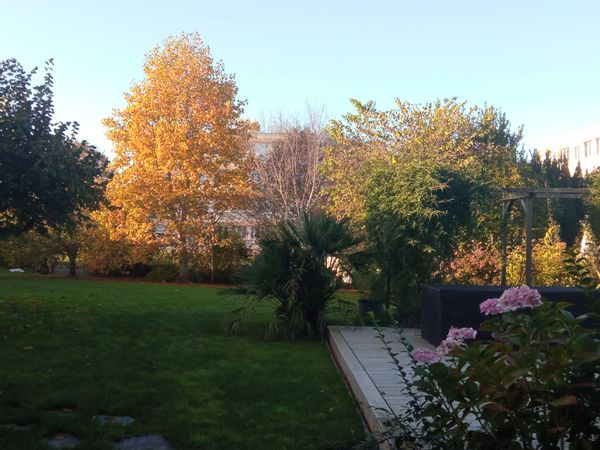 Un coin de verdure en coeur de ville et à 15 minutes des plages