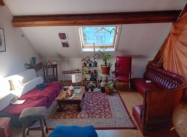 La maison de Oli