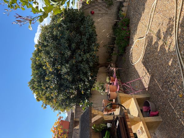 La maison de Murielle Idéalement située très proche des remparts très grande véranda