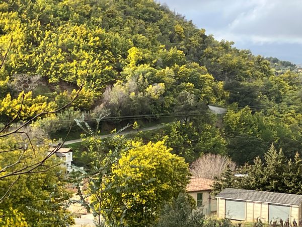 Toulon Ville appartement près Gare sncf 2 mn , Port a 500M , Plages en bateau-bus  -