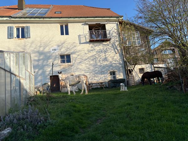 La maison de Elena