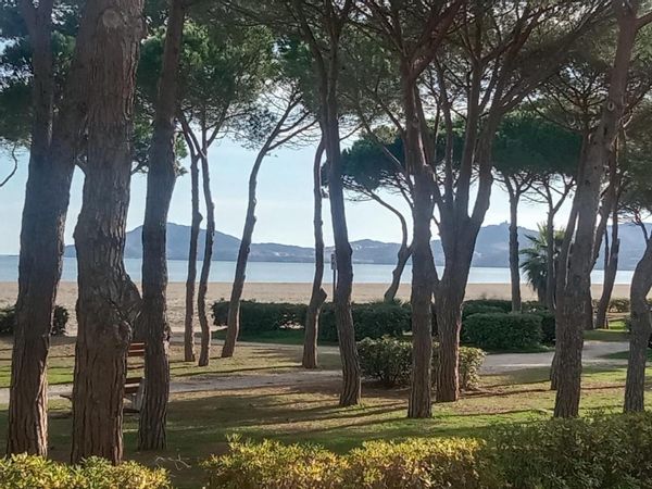 Appartement cosy entre mer et pins à Argelès 100m de la Plage