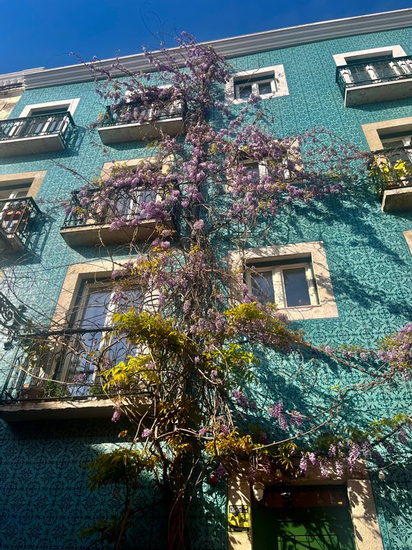La maison de Mariana