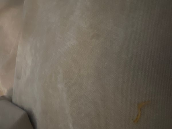 Appartement où il fait bon vivre