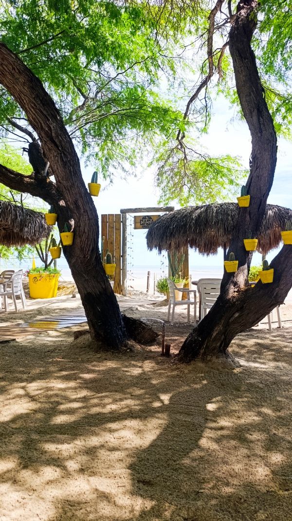 La maison de Bruno Cezar Paes de Lira