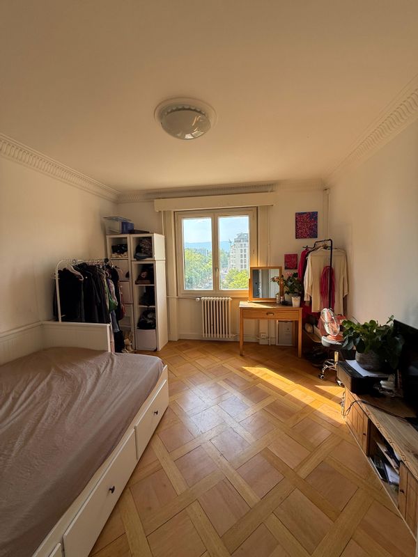 Bright Apartment in Geneva’s Best Neighborhood