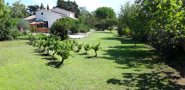 Villa TOUT CONFORT sur 1 propriété de 2400m2 en Provence Beaume de Venise / dentelles de Montmirail