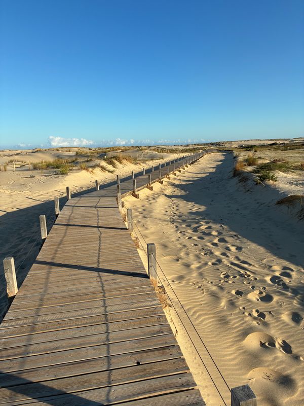 Beach House à Biscarrosse-Plage