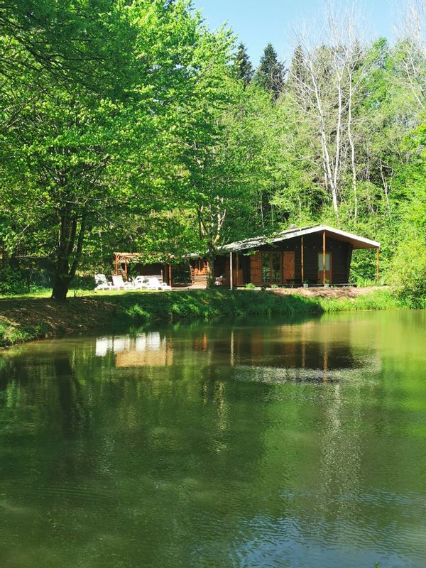 Chalet avec étang