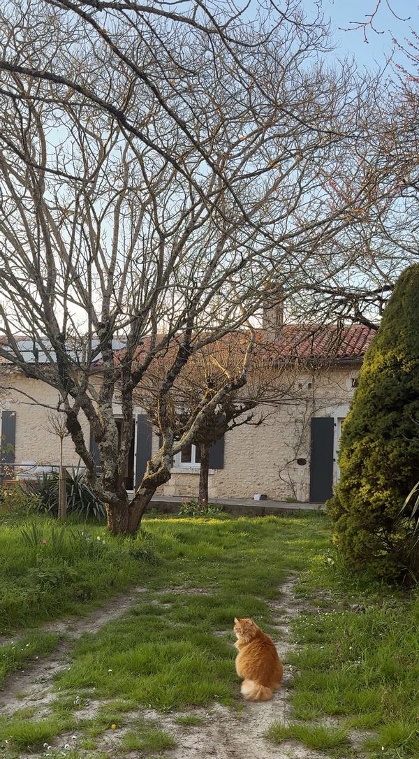 Maison avec vue sur la campagne française et cette impression d'être seuls au monde.