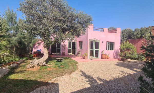 A charming artist's cottage in a very peaceful hamlet, 8 km from Essaouira and its beaches.