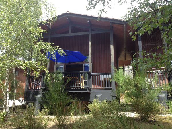 La chalet dans les pins de Yves et joelle